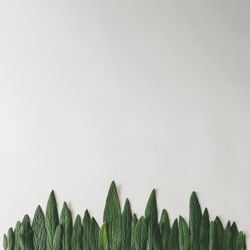 Green leaves in row on light background