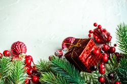 Green wintry branch with red decorations on bright background with copy space
