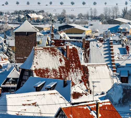 An old Alsatian town under the snow. The bell tower of the cathedral and the roofs of medieval houses.