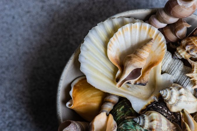 Close up of ceramic bowl full of sea shells