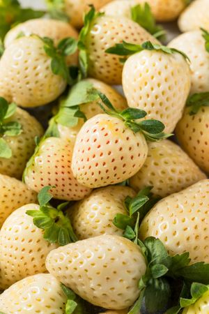 Organic Raw Pineberry Strawberry