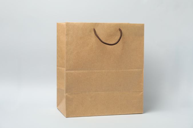 Empty paper bag on neutral background, space for text