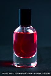 Red perfume bottle in dark studio with copy space 5r9Ol1