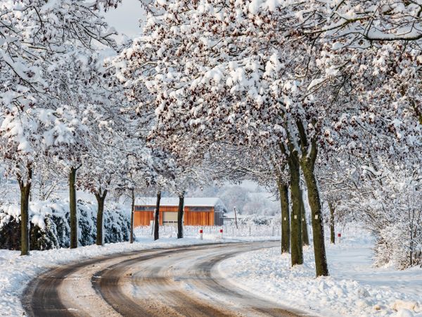 Winter's Tale. Snow-covered clean light landscape of Alsace.