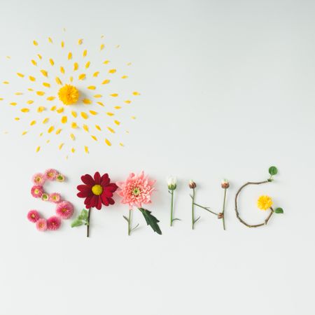 Word "SPRING" made of flowers on bright background