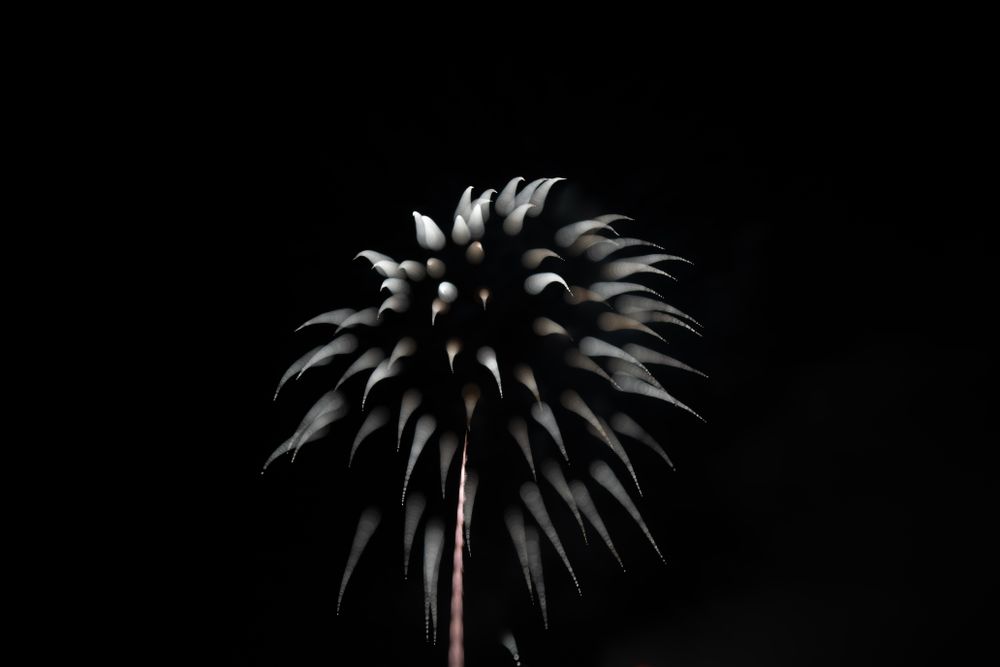 Bright fireworks on night sky