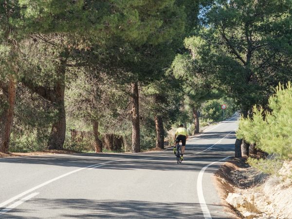 healthy man riding a bicycle on a mountain road in a sunny day