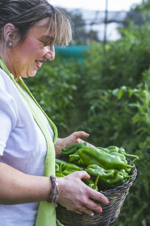 Gardener in apron showing green peppers at camera
