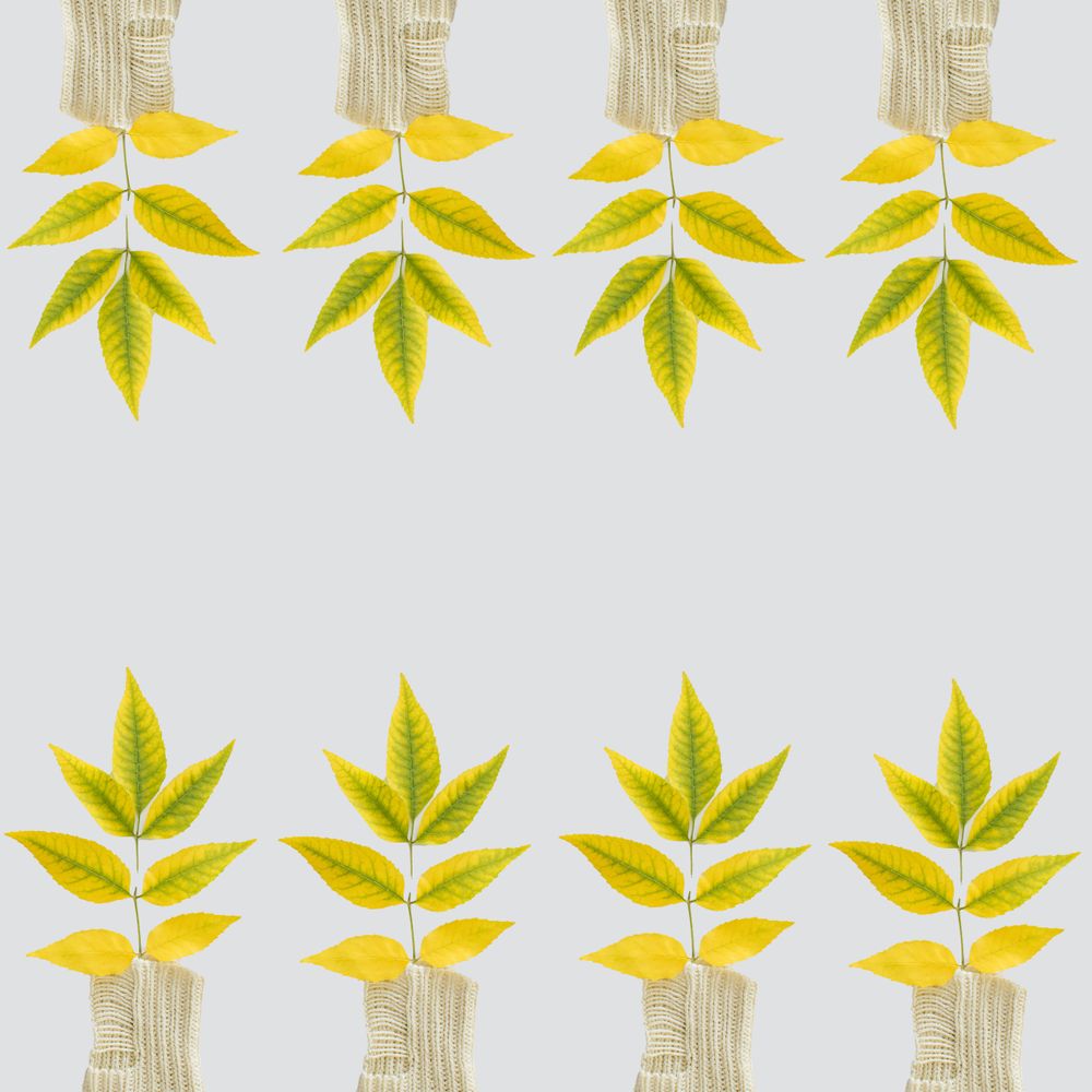 Green yellow autumn leaves pattern on a bright background