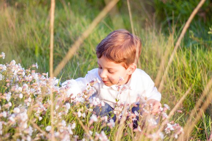 Happy cute kid picking flowers in a field