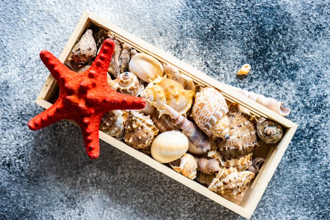 Top view of wooden box full of sea shells on stone background