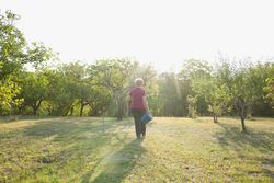 Mature Woman Walking Through Orchard with on a Sunny Day