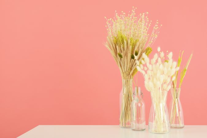 Four glass vases with dried flowers in pink room with copy space