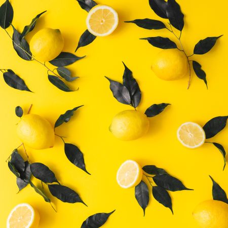 Lemons and dark  leaves on yellow background
