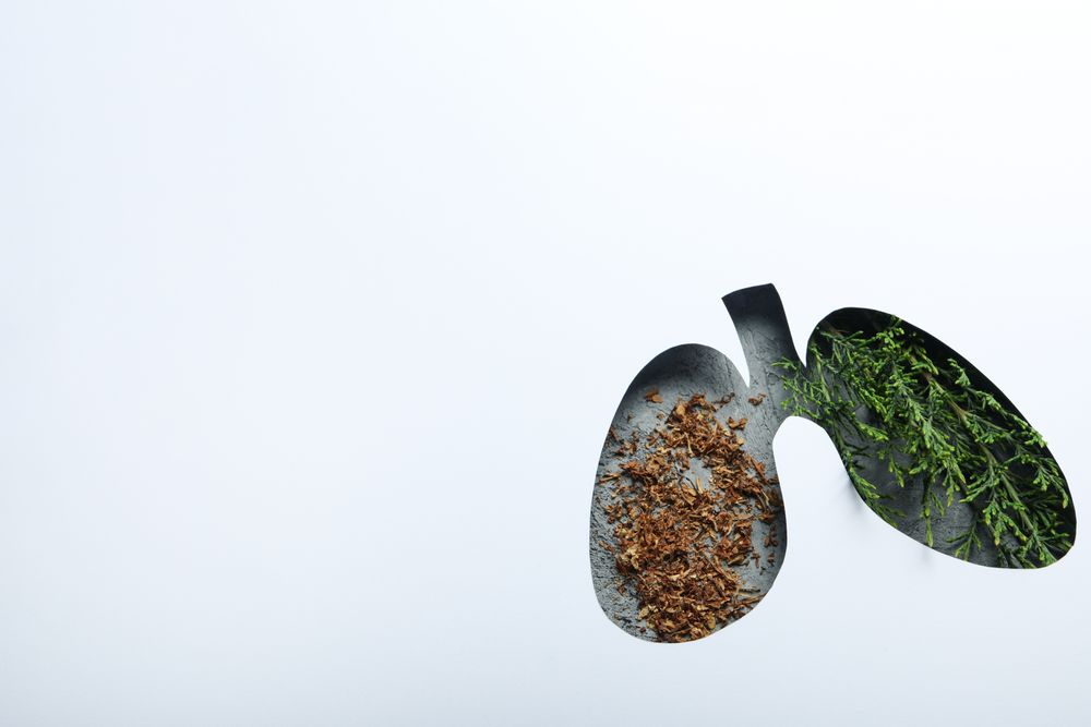 Lung shape cut out of paper with lush green plant and tobacco underneath with copy space