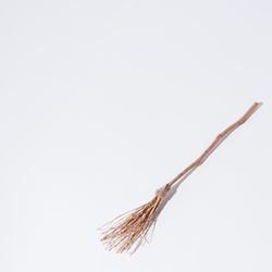 Broomstick on light background
