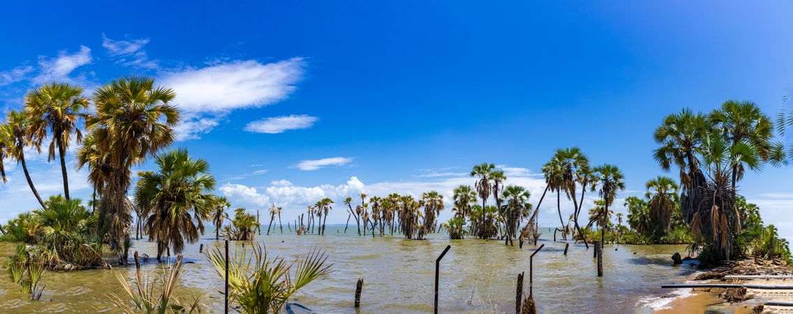 Lake Turkana Eliye Springs Beach Lodwar Landscapes Waterscape