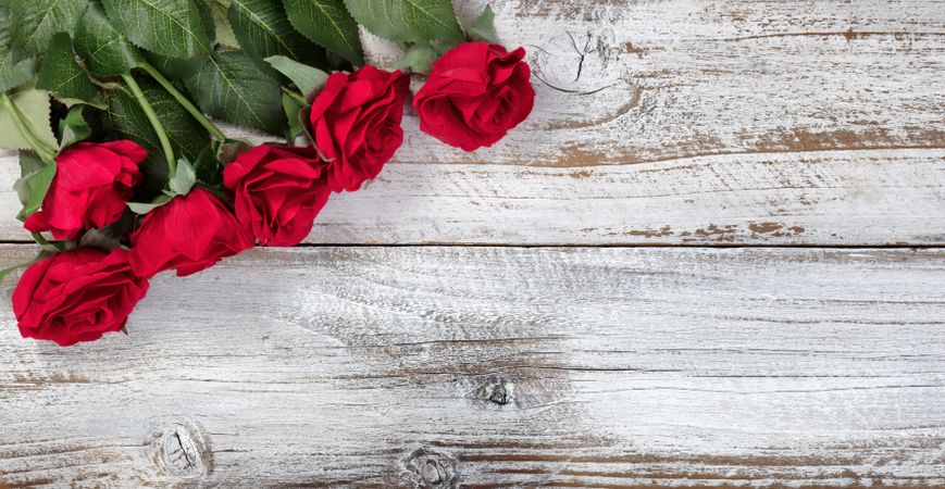 Red roses on rustic wood
