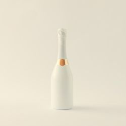 Champagne bottle on light background