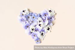 Purple viola flowers in heart shape on a neutral background bxQAr0