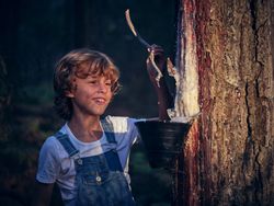 Cheerful boy looking at resin on stick