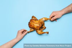 Eating roasted chicken on blue background 49qOQ4