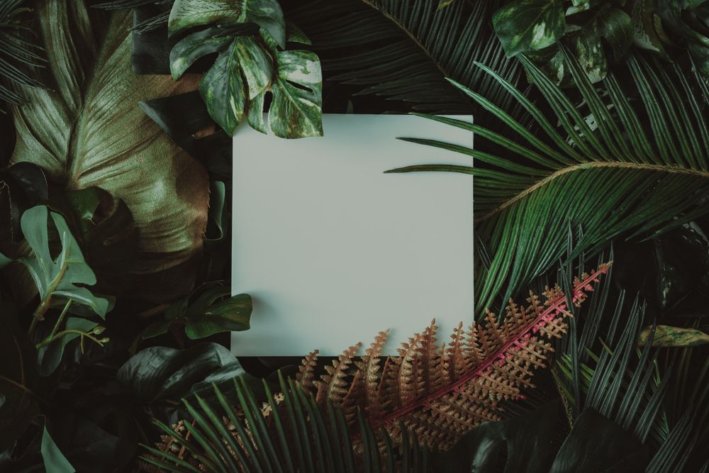 Creative layout made of tropical leaves with paper card note