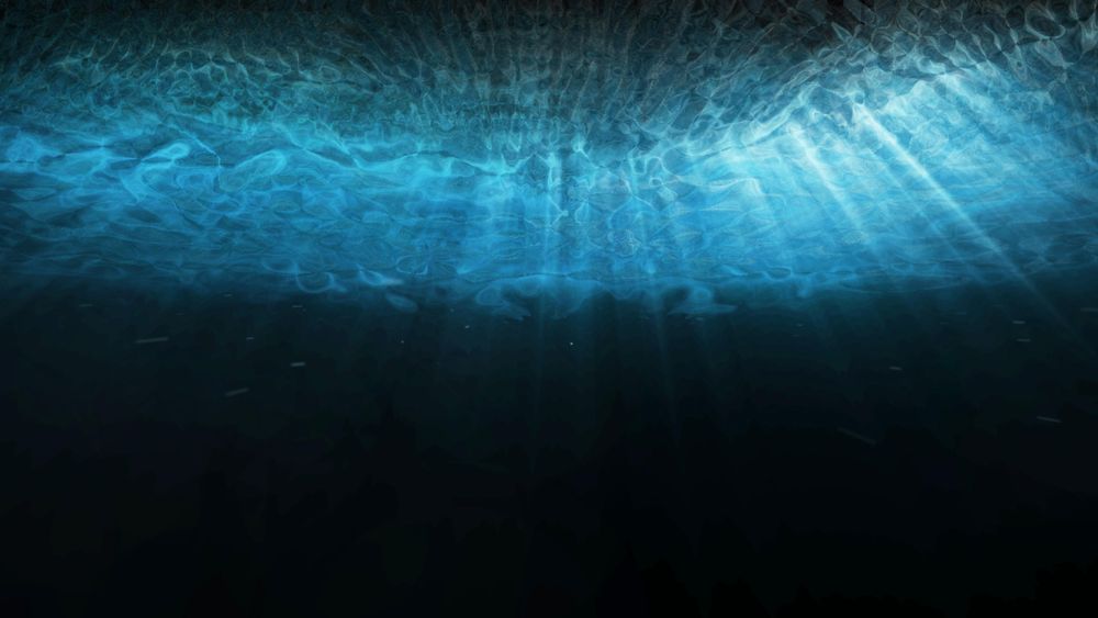 Tropical water and background concept