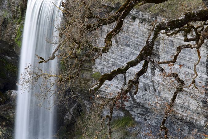 Autumn tree and waterfall