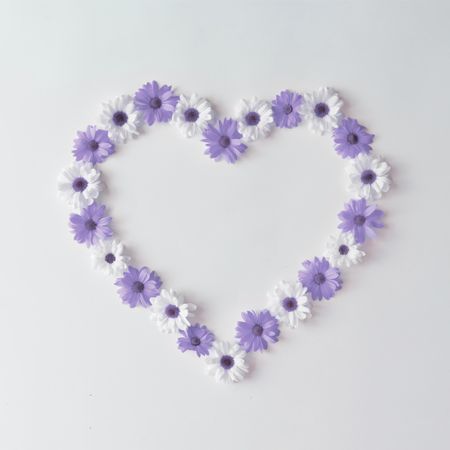 Heart shape made of daisies