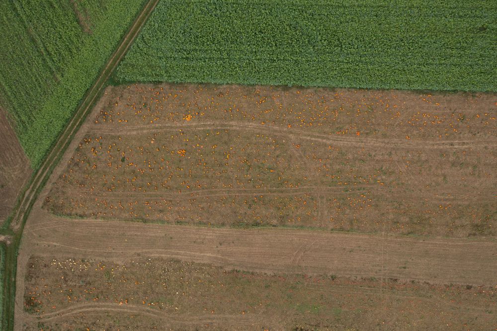 Drone aerial image with pumpkin farm in Stuttgart, Germany