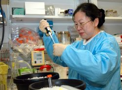 Bethesda, MD - USA, 2005: Female Asian laboratory technician 48lvK4