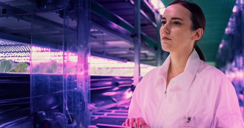 Portrait of Female Agricultural Engineer Walking in Vertical Farm Facility Next to Racks with Fresh Natural Crops. Hydroponics Specialist Using a Tablet Computer, Studying and Cultivating Plants
