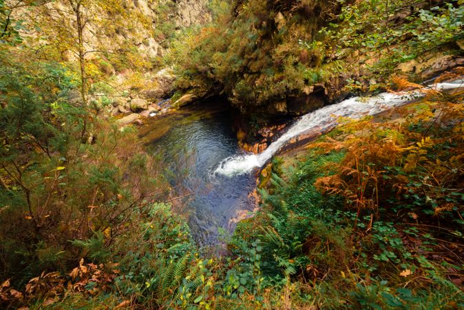 Small river and waterfall flowing in green dark beautiful forest.