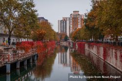 Canal surrounded by red leaves bE7OG5
