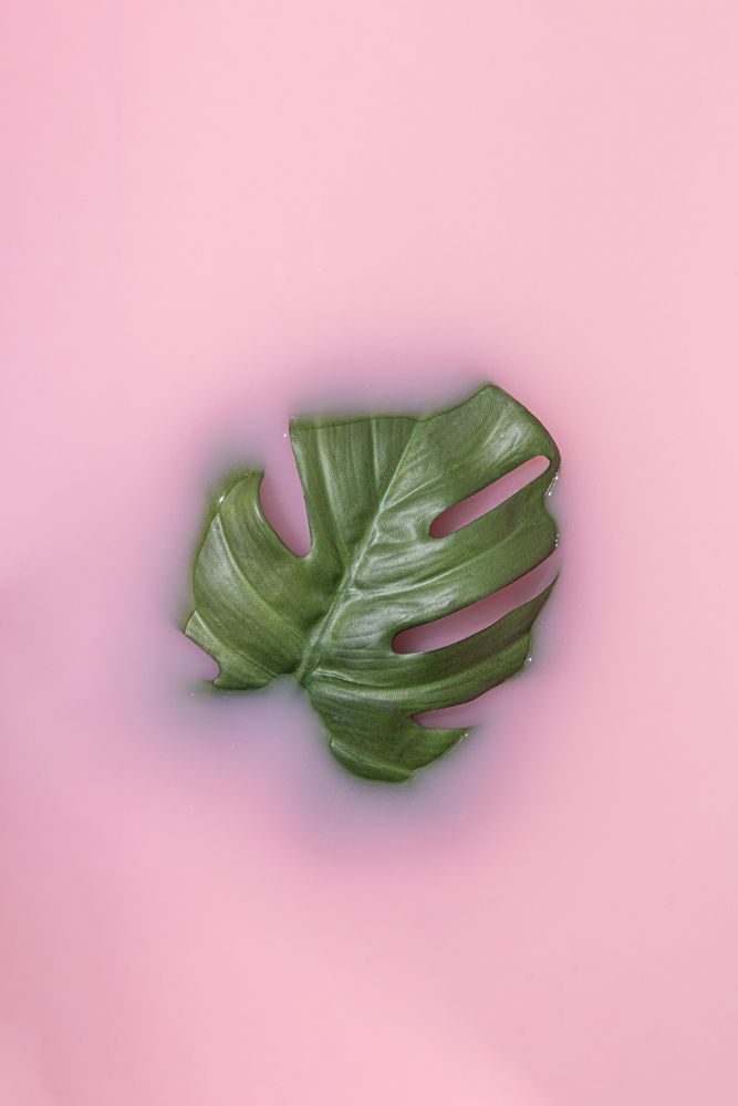 Summer scene with monstera leaf partially submerged in paint