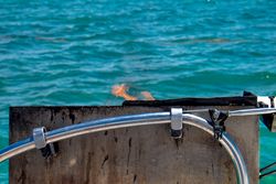 A BBQ getting started near the beach