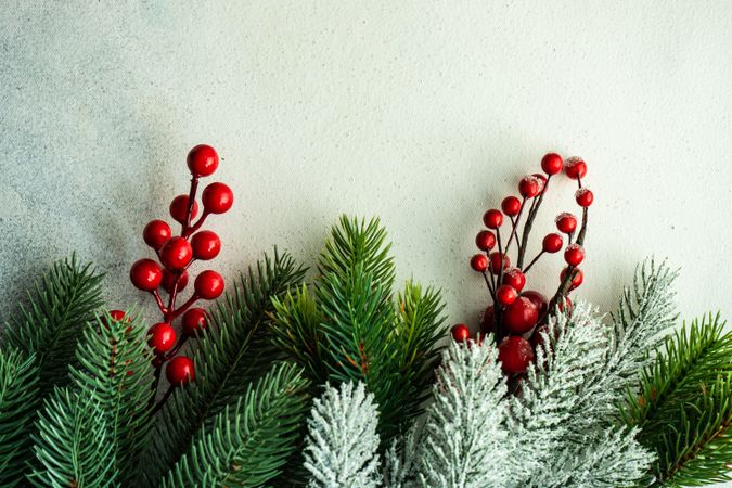 Fir branches lining bottom of image with berries