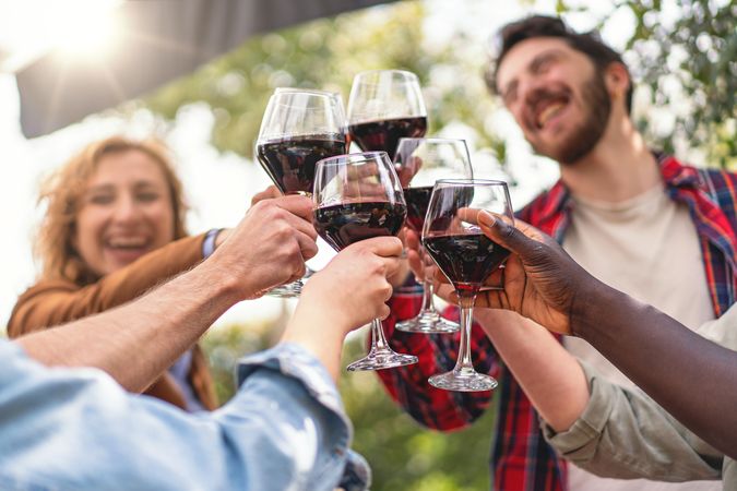 Group of friends toasting with wine, enjoying a sociable moment outdoors