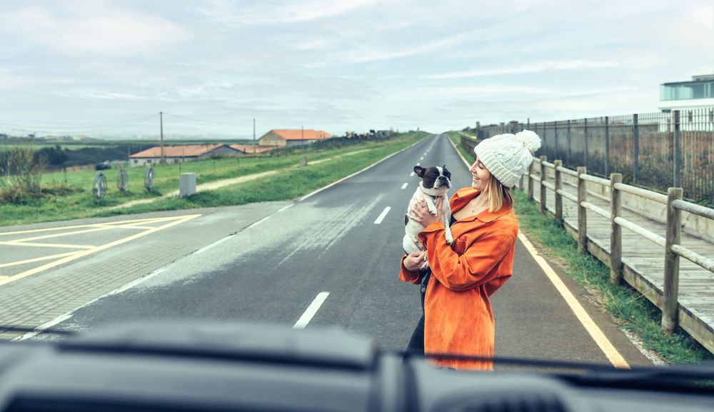 Looking out of van window at women holding cute dog