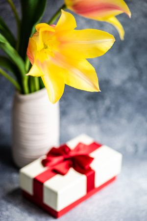 Yellow tulip flowers in bright room with giftbox wrapped in red ribbon