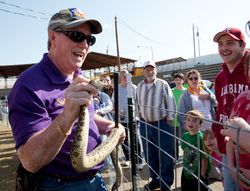 Rattlesnake handler shows a rattlesnake to impressed audience 20Kg10