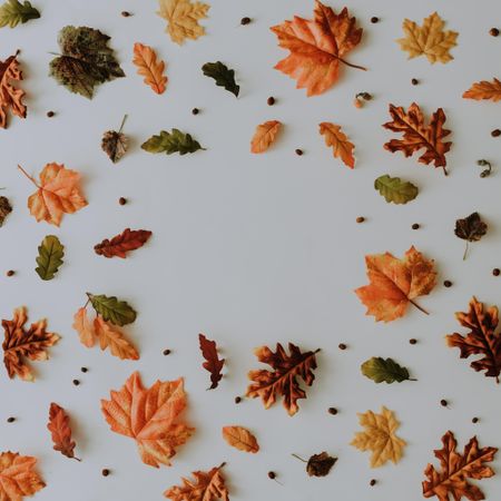 Lay out of autumnal pattern with leaves and nuts on light background