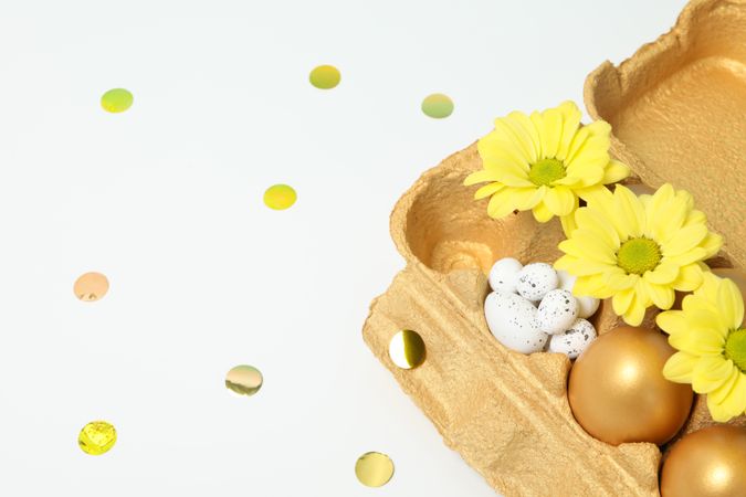 Concept of Richness, golden eggs, space for text