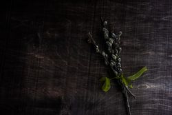 Easter holiday concept with pussy willow on wooden table wrapped in green ribbon