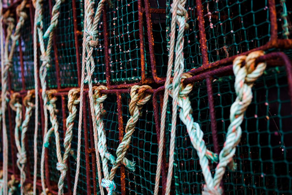 Stack of fishing traps