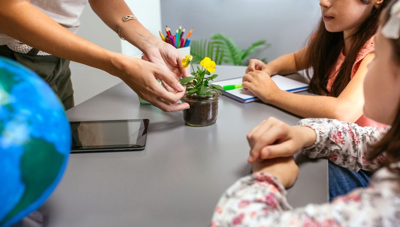 Female teacher hands showing pansy plant to her students in ecology classroom