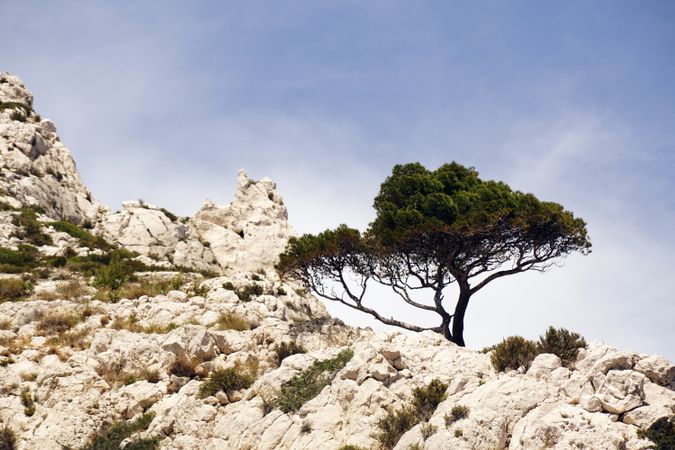 Mountain landscape with rocks and tree
