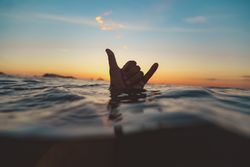 Hand with shaka gesture between water surface and sky at sunset