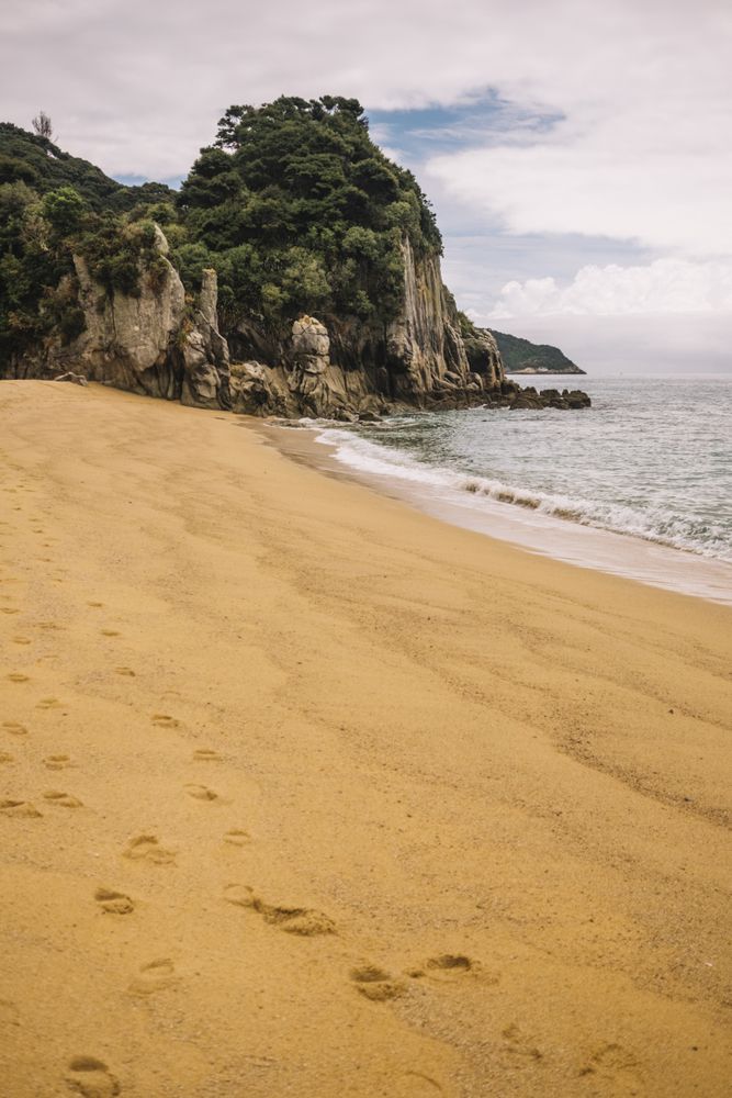 Sandy beach and green forest in Pancake Rocks